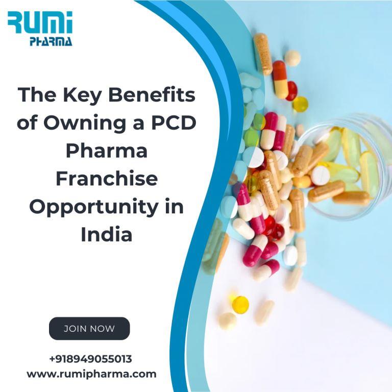 The Key Benefits of Owning a PCD Pharma Franchise Opportunity in India